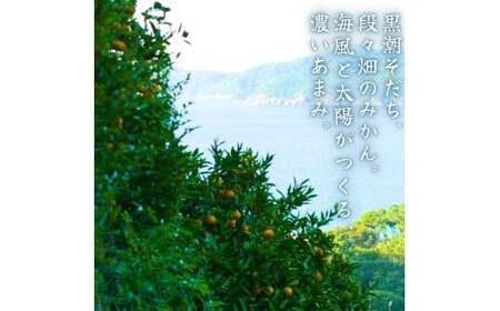  有田 みかん 小玉 5kg / 有田みかん 温州みかん 甘い 小玉 和歌山 柑橘 5kg ※2026年10月上旬～2027年2月上旬に順次発送【krt004-s-5】