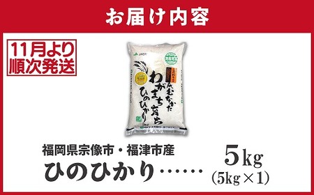 【令和7年産米】【2025年11月より順次発送】JAよりお届け！「ひのひかり」 5kg（5kg×1袋）[G2314]