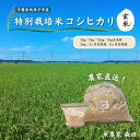 【ふるさと納税】【令和6年産 新米】米 特別栽培米 コシヒカリ 玄米 米粉 セット 定期便 5kg 7kg 10kg 500g おすすめ 直送 選べる 毎月 3ヶ月 6ヶ月 認定農業者 冷めても美味しい 農家直送 千葉県産 ちばエコ農産物 米農家 森田