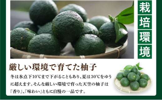 天空の柚子胡椒「青と青」35ｇ×5本セット