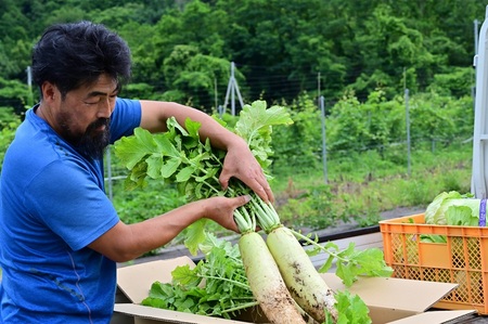 【先行予約】北杜市明野産 「葉付き大根」10本セット（10kg程度）