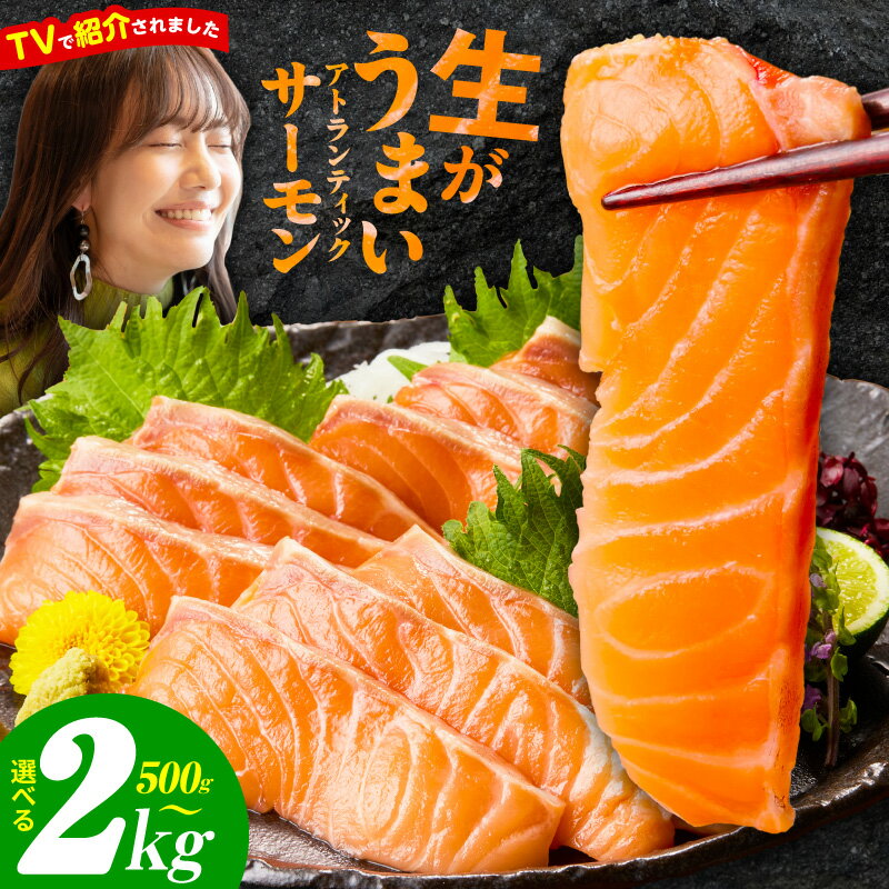 【高評価★4.71】アトランティックサーモン 刺身用 ポーション サーモン 鮭 小分け 真空パック ブロック 柵 魚 鮮度抜群 海鮮 魚介類 生食 カルパッチョ 食品 泉佐野市 お取り寄せ お取り寄せグルメ 冷凍 送料無料