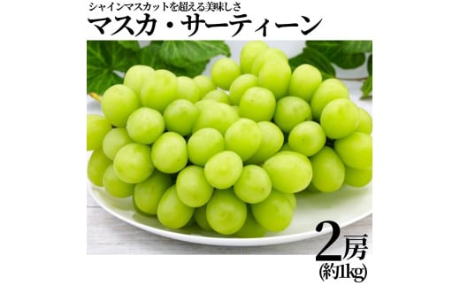 313K.■小林農園■マスカ・サーティーン2房(約1kg)