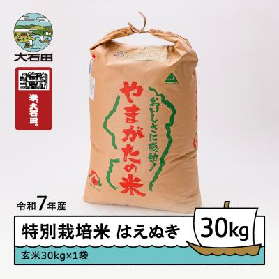 ふるさと納税 大石田町 米 はえぬき 30kg 令和7年産 【2026年5月下旬発送】山形県産 特別栽培米 玄米