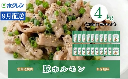 【2027年9月配送】豚ホルモン ねぎ塩味 4kg（200g×20）味付き 小分け ホクレン 北海道焼肉シリーズ