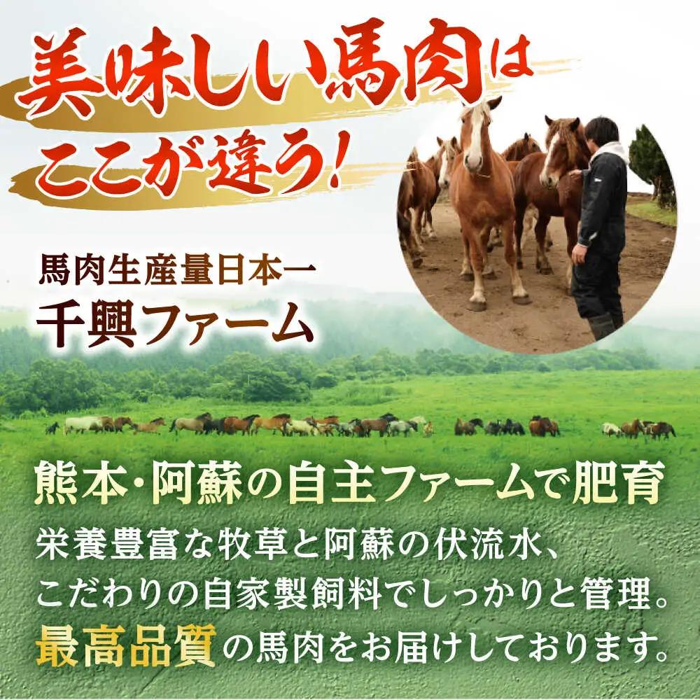 令和8年熊本地震復興支援 馬刺し赤身ユッケ10個セット約500g ユッケ[AYAF023]