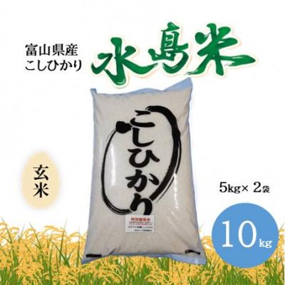 ふるさと納税 小矢部市 栽培期間中農薬・化学肥料不使用　こしひかり　玄米 5kg×2袋(10kg)