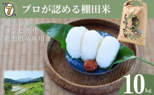 【2026年4月発送】令和7年産 新潟県能生谷産コシヒカリ 10kg プロも認める棚田米 農家直送 2025年産 JATs有限会社【新潟県 糸魚川市 米 お米 こめ コメ ご飯 ライス ふるさと納税米 ブランド米 おすすめ ギフト 10キロ 精米 白米 人気 食品 選べる配送月 先行予約】