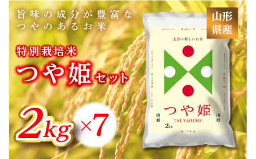 
《ふるさとの極み》山形県産 つや姫セット 14kg(2kg×7) 米 お米 コメ ごはん ご飯 食品 山形県 F2Y-1184
