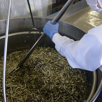 ふるさと納税 伊予市 アーモンド小魚 435g×1袋 カルシウム お菓子 オカベ|A28 |  | 03