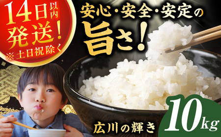 広川の輝き お米 10kg （5kg×2袋） / 精白米 精白米 精白米 精白米 精白米 精白米 精白米 精白米[AFBD009]