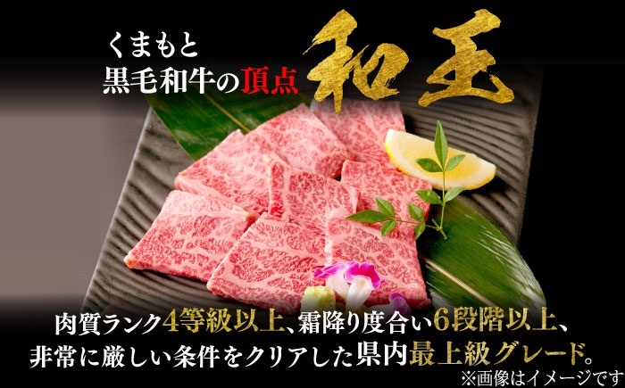 くまもと 黒毛和牛 和王 カルビ 焼肉用 約800g（約400g×2P）