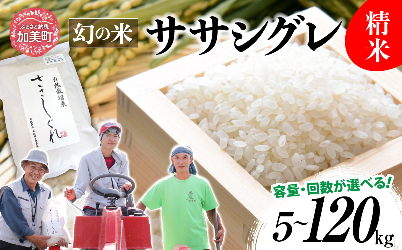 
            《 希少品種米 》 新米 米 令和6年 宮城県産 ササシグレ  ( 栽培期間中農薬 ・ 肥料不使用 ) 精米 5kg 10kg 単品 3ヶ月 6ヶ月 12ヶ月 定期便 も 選べる  [ 宮城県 加美町 ]  米 お米 こめ コメ 精米 白米 玄米 ささしぐれ
          