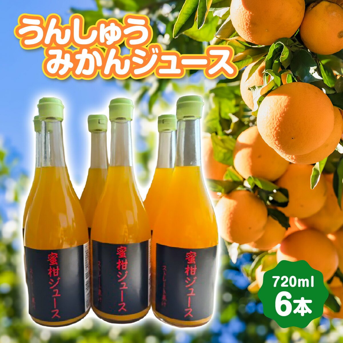 【ふるさと納税】うんしゅうみかんジュース720ml 6本【E101-2】 YWTBV002