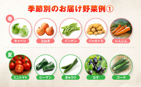 【全3回定期便】自然栽培・旬の野菜詰め合わせ 五島市/ぷらっと農園 [PDS007]