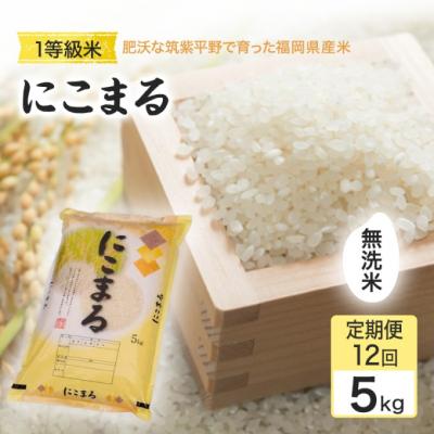 ふるさと納税 小郡市 定期便12回 1等級米 にこまる 無洗米5kg[No5354-2375]