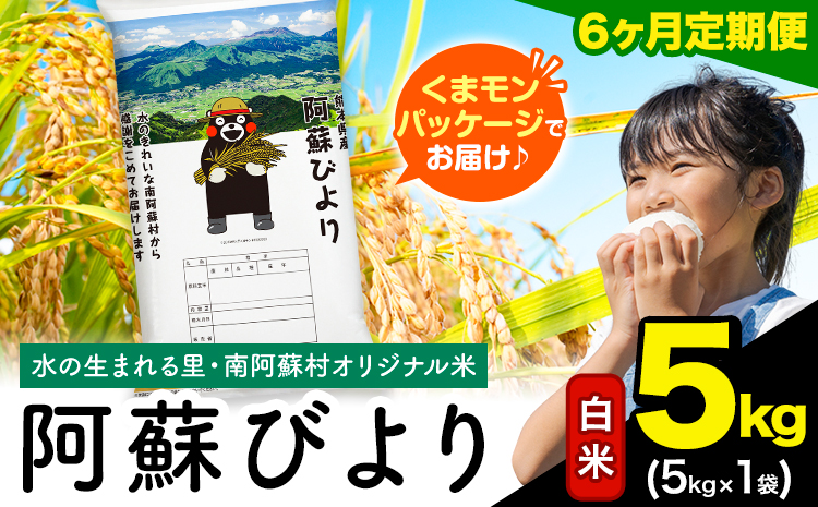 【6ヶ月定期便】阿蘇びより 白米 5kg (5kg×1袋)《お申込み月の翌月から出荷開始》｜国産米 人気米 熊本県産米 お米 生活応援米---mna_abytei_5kg_87000_mo6_h---