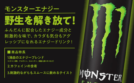 モンスターエナジー 355ml × 24本 1ケース 【 ドリンク アサヒ 飲料 エナジー エナジードリンク 栄養 炭酸 缶 人気 おすすめ 緑 MONSTER ENERGY 和歌山県 海南市】