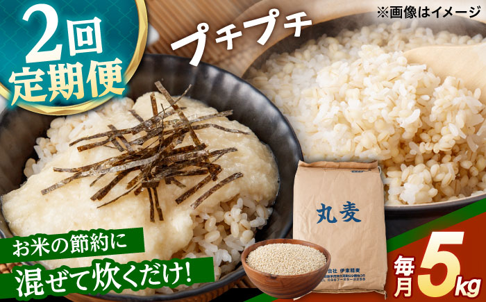 もち麦よりも『ぷりっ』とした弾力 【2回定期便】長崎県産 丸麦 5kg / 麦 むぎ 雑穀 雑穀米 麦ごはん 麦飯 麦みそ 食物繊維 / 諫早市 / 有限会社伊東精麦 [AHBU013]
