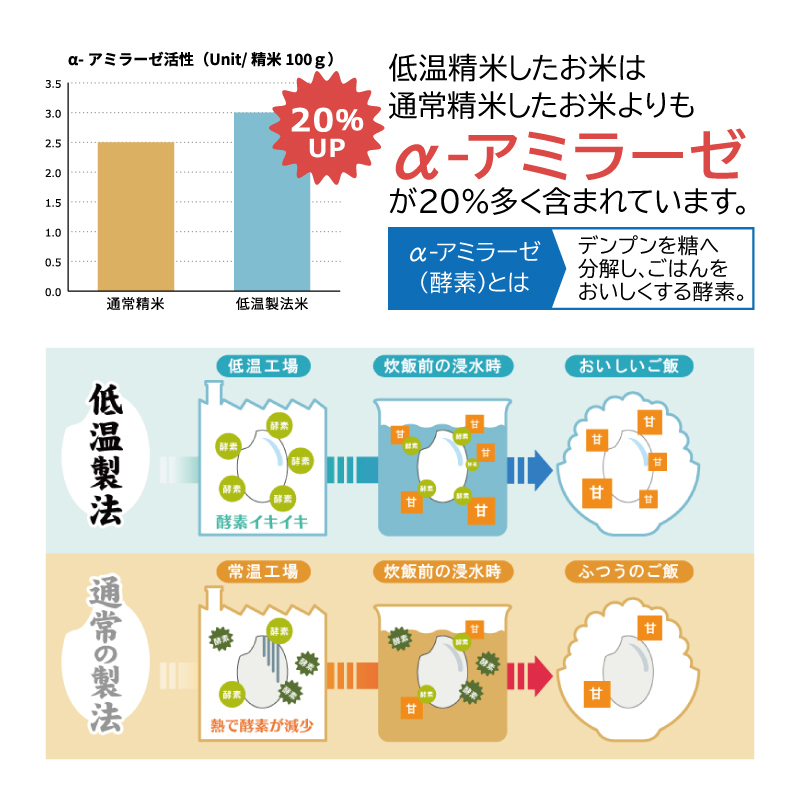 【新米予約】令和6年 米 10kg 宮城県産 つや姫 5kg×2袋 精米 アイリスオーヤマ こめ コメ ご飯 ごはん ブランド米 一等米 美味しい おいしい 2024年度産 つやひめ