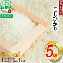 【ふるさと納税】 令和6年度収穫分 信州 飯綱町の美味しいお米 5kg × ( 1回 3回 6回 12回 ) ＜ こしひかり ＞ 長野県 飯綱町 【 お米 新米 コシヒカリ 米 白米 精米 長野 信州 】2024年11月上旬より順次発送 [お届け1回 (**)]