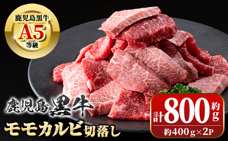 【B01037】＜期間限定＞鹿児島黒牛 モモ カルビ 切落し 焼肉用(計800g・約400g×2P)  牛肉専門店自慢のお肉 鹿児島 国産 九州産 牛肉 カルビ モモ 切り落とし 切落とし A5 等級 焼肉 焼き肉 バーベキュー BBQ ミックス MIX 冷凍 【新村畜産】