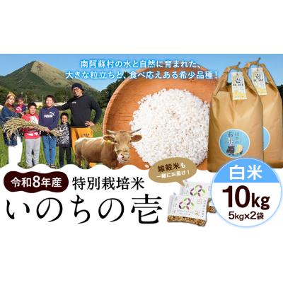 ふるさと納税 南阿蘇村 令和8年産 特別栽培米 いのちの壱 白米 10kg (5kg×2袋) 雑穀米付き