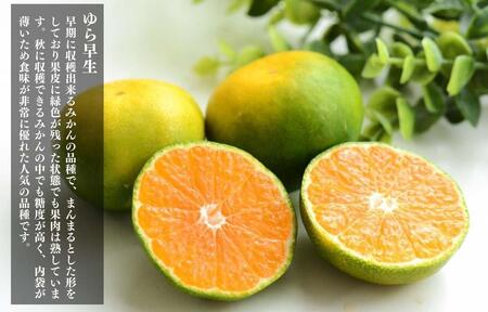 ゆら早生 みかん 箱入2.5kg (内容量2.3kg) SMLサイズのいずれか 秀品 優品 混合 有田みかん 和歌山県産 【みかんの会】