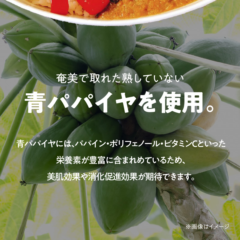 パパイヤ入り奄美カレー 180g 5個セット - 鹿児島県 奄美市 奄美大島 レトルトカレー チキンカレー 島ウコン 青パパイヤ入り 島料理 島じゅうりまごころ便パッケージ 湯銭 加熱