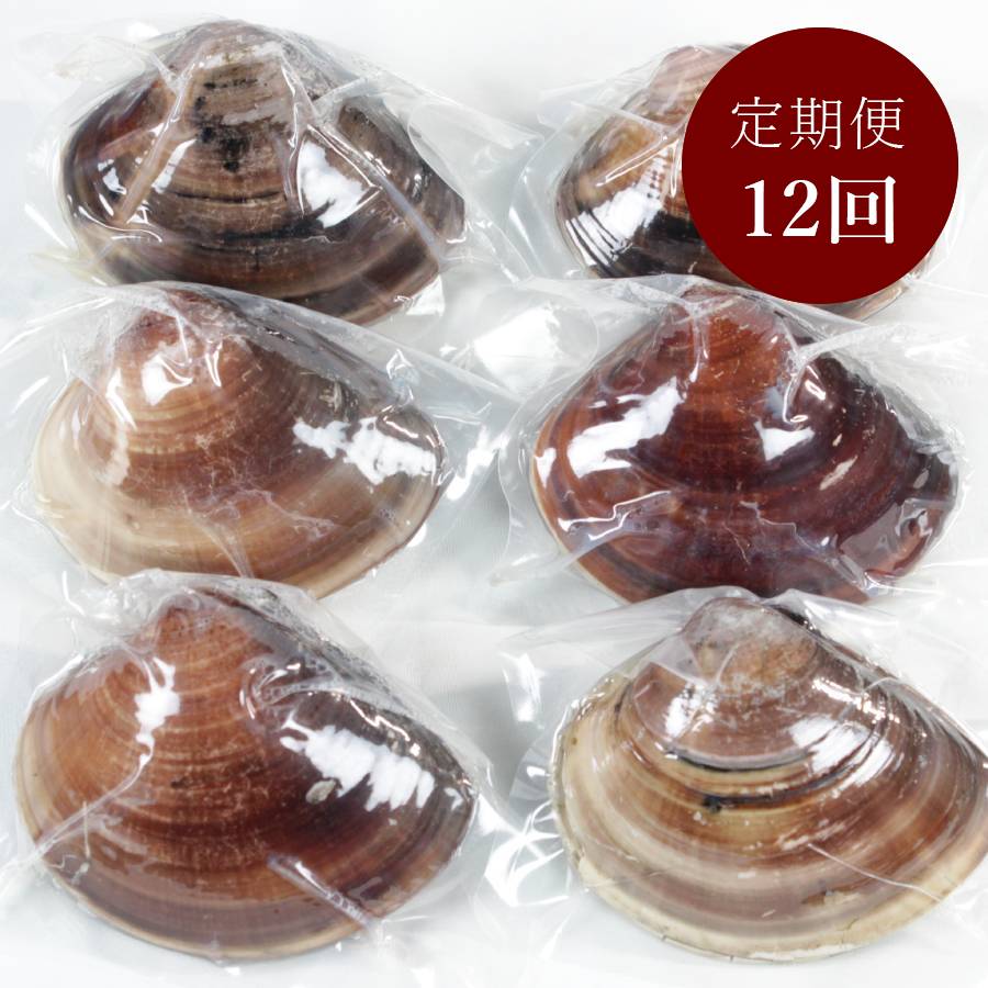 ＜桑名はまぐり屋＞桑名産「はまぐり」10年もの（レトルト）6粒【12ヵ月定期便】