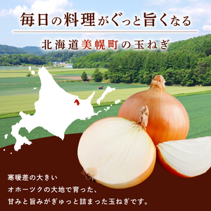 美幌産玉ねぎ Lサイズ 20kg 玉ねぎ