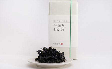 瀬戸内だより