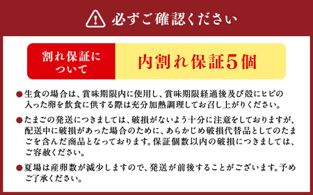 ひめ卵プラス 50個 セット（内割れ保証5個） たまご 卵 玉子 タマゴ 国産 愛媛県産【えひめの町（超）推し！（内子町）】 （482）