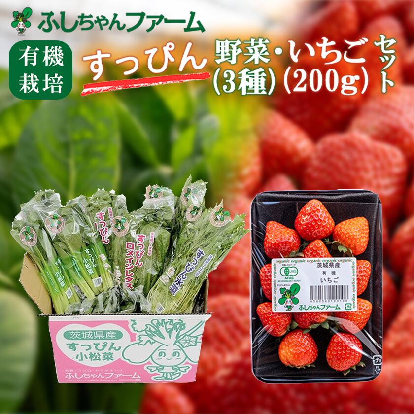 【ふるさと納税】すっぴん有機いちご200g・野菜セット | 茨城県 つくば市 いちご 苺 イチゴ 恋みのり 小松菜 ロメインレタス 水菜 鍋 鍋もの 野菜 有機野菜 有機栽培 無農薬 有機農業 オーガニック 自然 果実 フルーツ 果物 希少