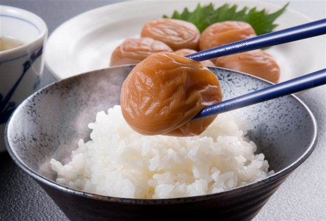 L469　紀州　はちみつ梅紀和の梅　１ｋｇ×４