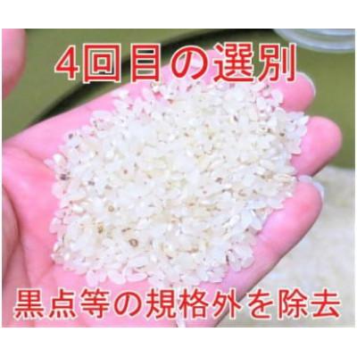 ふるさと納税 大仙市 【毎月定期便】【令和7年産】25kg(5kg×5袋)大手有名百貨店出荷米　あきたこまち全3回 |  | 02