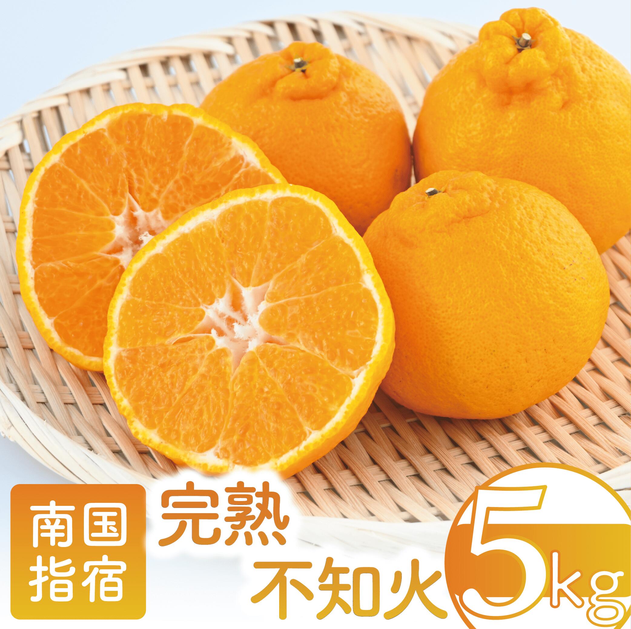 【ふるさと納税】鹿児島県指宿市産のみかん！かいもん完熟不知火(約5kg) 鹿児島 不知火 みかん 柑橘 産地直送 お取り寄せ 甘い 糖度抜群 果汁たっぷり 高級果物 ギフト 贈り物 プレゼント 贈答 常温【迫田果樹園】