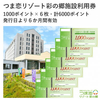 【ふるさと納税】つま恋リゾート彩の郷施設利用券 6000ポイント【配送不可地域：離島・沖縄県】【1599813】