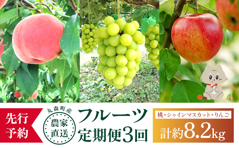 【先行予約】《採れたてを農家直送》 宮城県丸森町産 フルーツ定期便 コース1（桃・シャインマスカット・りんご）【48007】