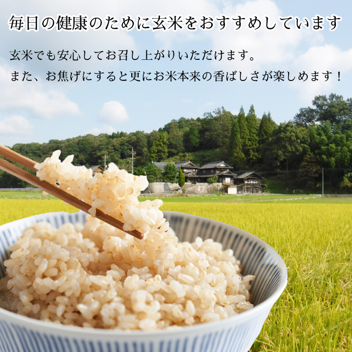 【栽培期間中・無肥料無農薬】瀬戸内三原 羊飼いのこしひかり 玄米14kg 002011