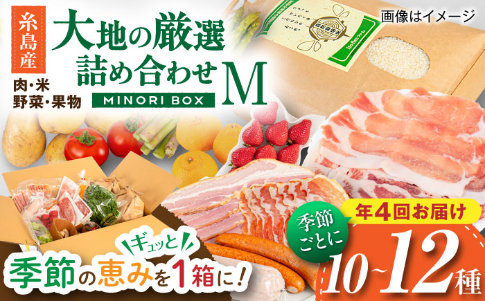【全4回定期便】糸島産 肉 米 野菜 果物 厳選詰め合わせ MINORI BOX Mサイズ【季節ごとに年4回お届け】 糸島市 / emma.Inc / 米 肉 野菜 果物 詰め合わせ [AOP002]