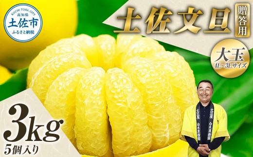 【先行予約】【果樹園直送】土佐文旦 特選品贈答用 約3kg 3L～4Lサイズ 5個入り〈2027年2月中旬～3月下旬頃発送〉  /  大玉 ぶんたん ブンタン フルーツ 柑橘 みかん 果物 くだもの 柑橘類 デザート おやつ【白木果樹園】 [BQAI002]