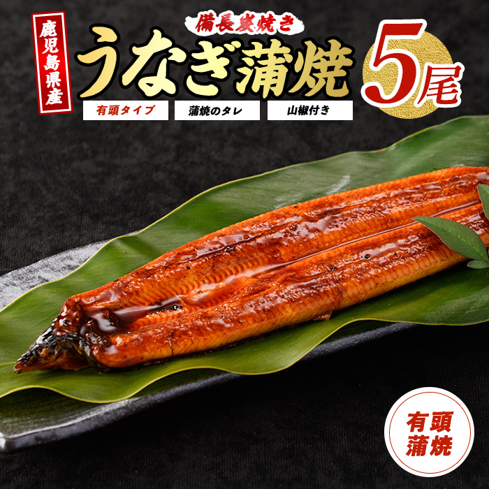 鹿児島産鰻蒲焼5尾(奈良/IB020-002) うなぎ 国産 鹿児島 蒲焼 丑の日 丑 土用丑の日