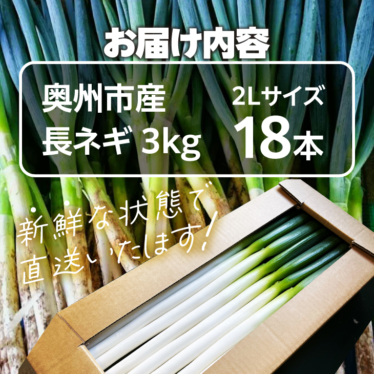 hugmiの長ねぎ 3kg 2Lサイズ 離島配送不可 [BJ012]