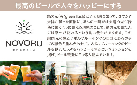 ノボル6缶セット ビール アルコール 飲料 クラフトビール