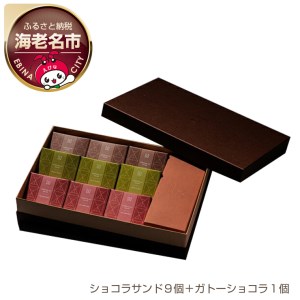 【ショコラトリーサンドグラス】ギフトアソート (ショコラサンド9個＋ガトーショコラ1個）| ショコラ チョコレート ガトーショコラ 詰合せ 