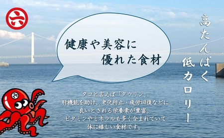 【明石産】ほんまにうまい！釜あげ明石だこ大１尾・たこ唐揚げ大セット〈本場の味〉