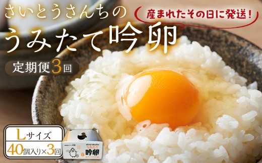 
                  【3回定期便】さいとうさんちのうみたて吟卵　40個入り たまご 玉子 タマゴ 新鮮 生卵
                