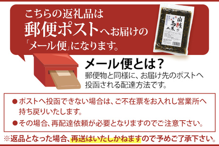 辛子高菜 240g×3パック（720g） 山賊の高菜 からし高菜 メール便 ポッキリ お米に合う ご飯のお供 おつまみ 国産 無添加 お取り寄せ 福岡 お土産 九州 グルメ 福岡県