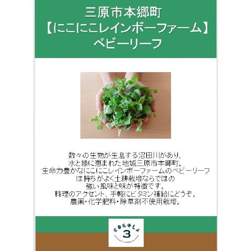 【栽培期間中無農薬】野菜のプロが選ぶ. 旬の野菜・卵・天然塩・ハーブティー  全６〜８品詰め合わせセット（レシピ付き） 野菜 塩 卵 たまご 有機農家  野菜セット オーガニック レシピ 広島県 三原